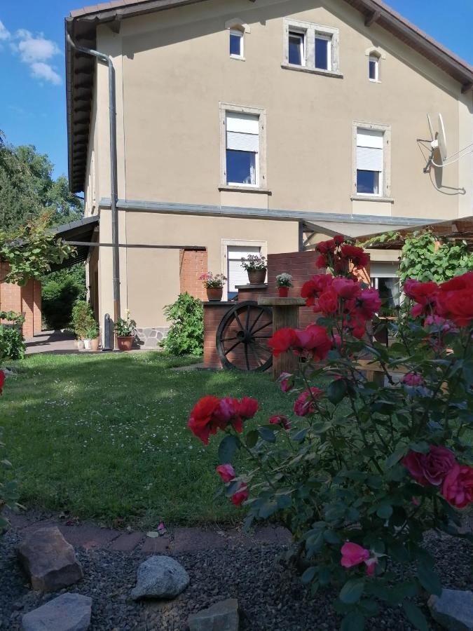 Monteurunterkunft Maria Freital Dış mekan fotoğraf